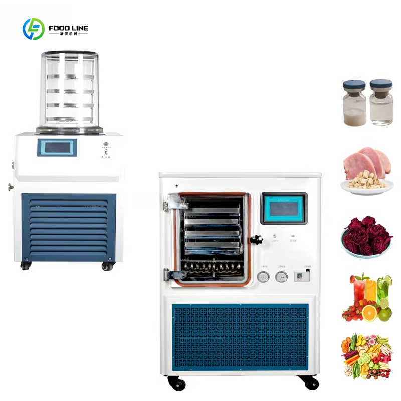 Küçük Şekerleme Meyve Yiyecekl - Food Energy Snacks incelemesi ve fiyatı